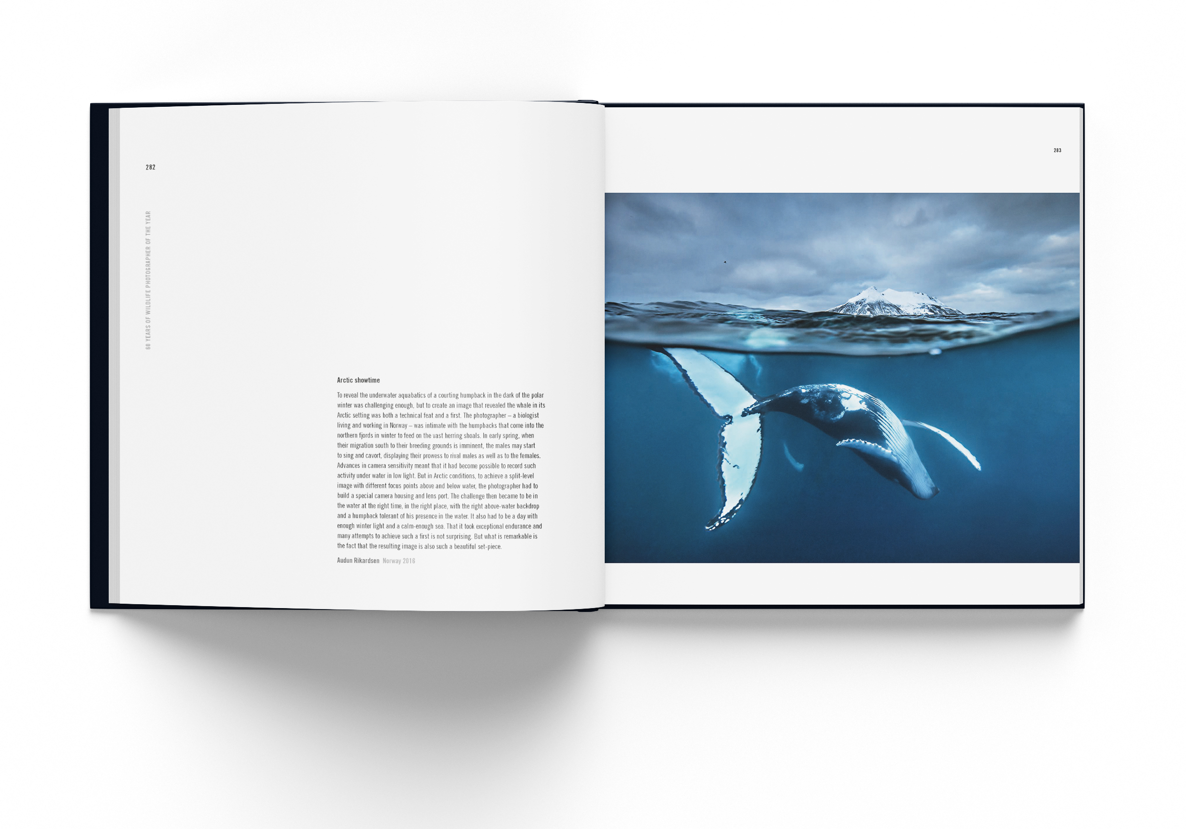 60 Years of Wildlife Photographer of the Year by Rosamund Kidman