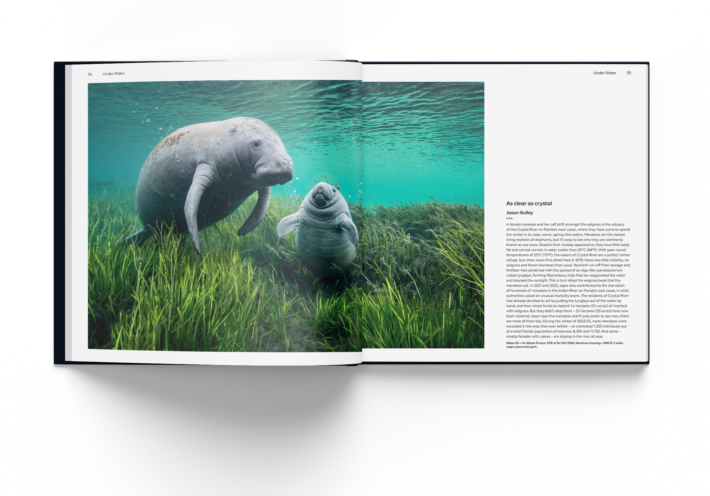 Wildlife Photographer of the Year: Portfolio 34 by Natural History