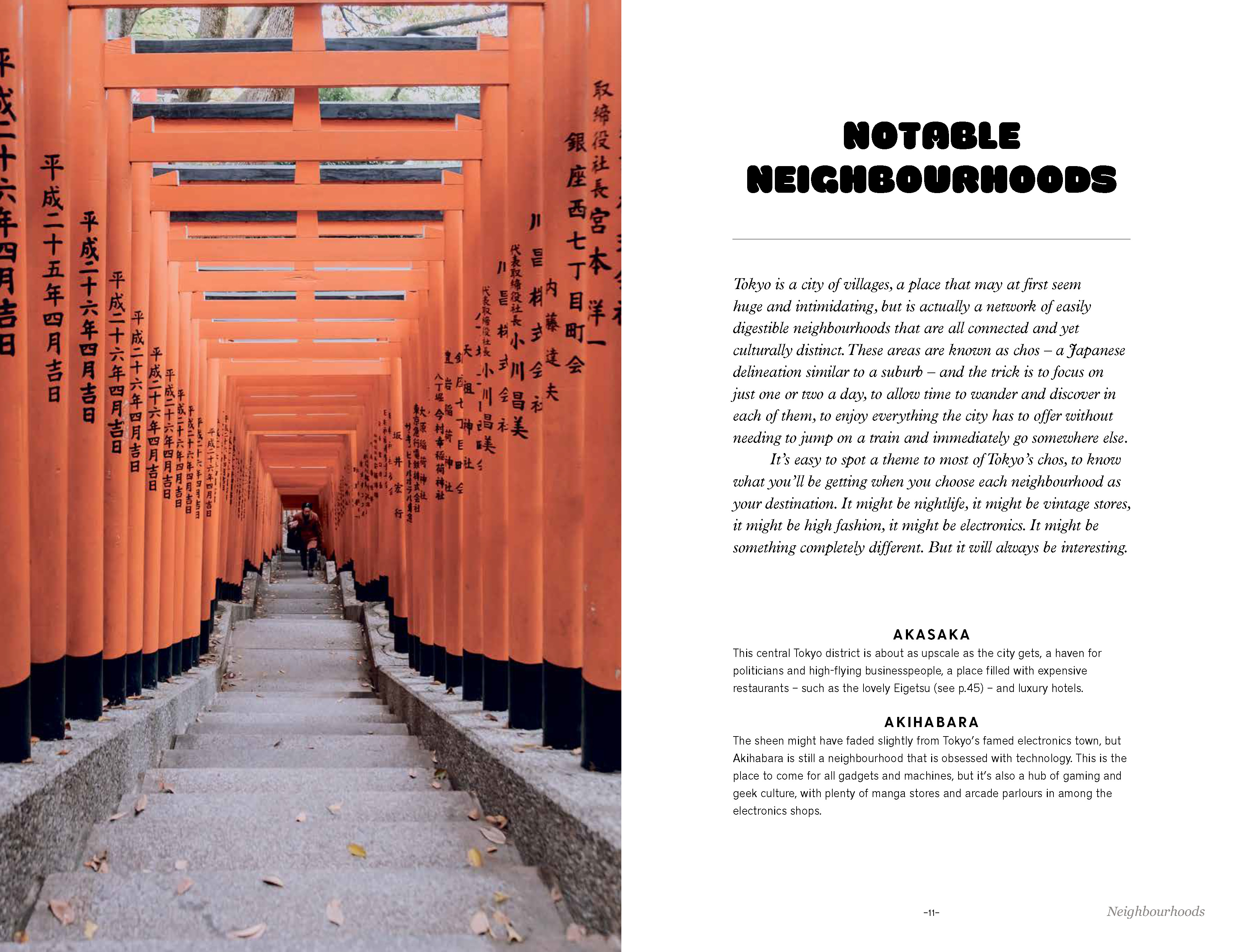 Neon Lights in Tokyo by Ben Groundwater | Hardie Grant Publishing