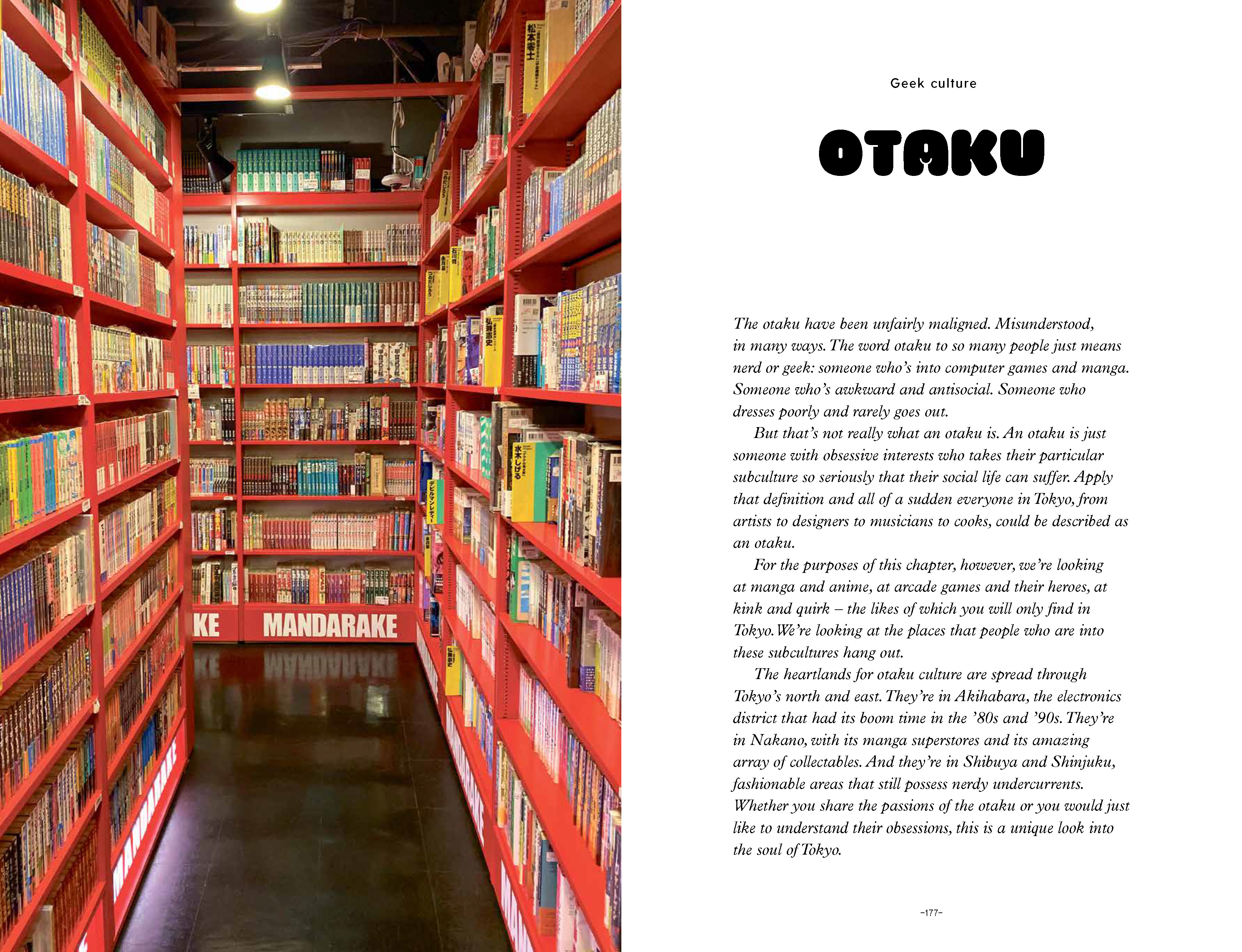 Neon Lights in Tokyo by Ben Groundwater | Hardie Grant Publishing