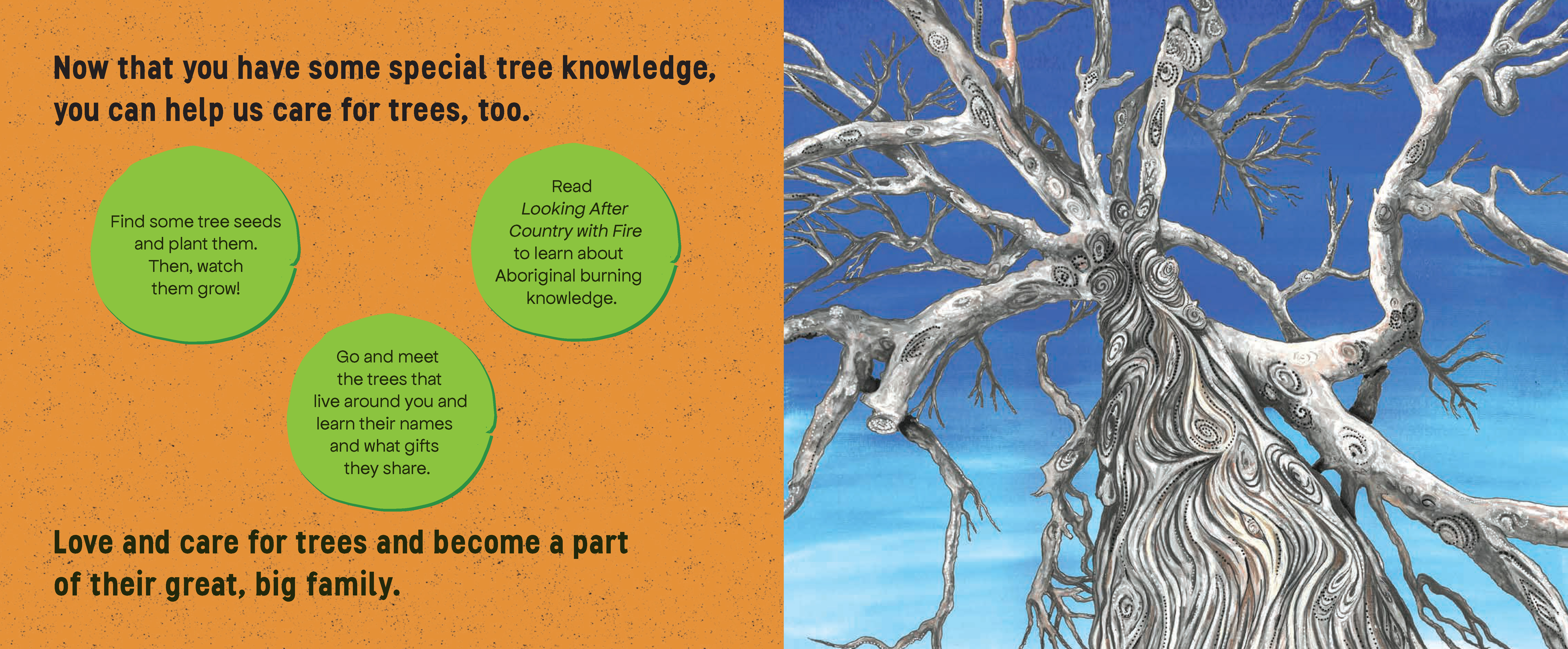 The Trees by Victor Steffensen | Hardie Grant Publishing