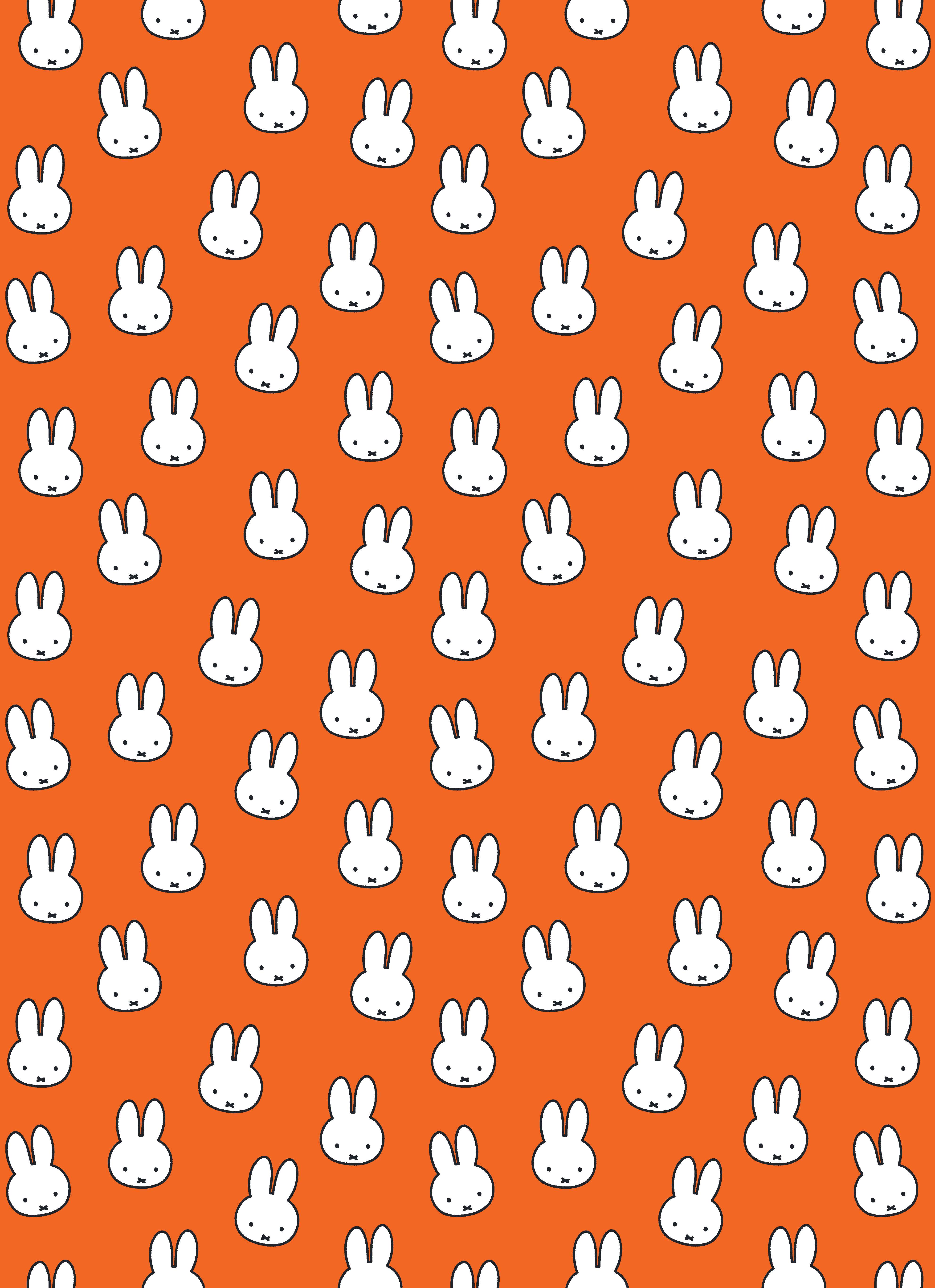 Miffy by Miffy | Hardie Grant Publishing