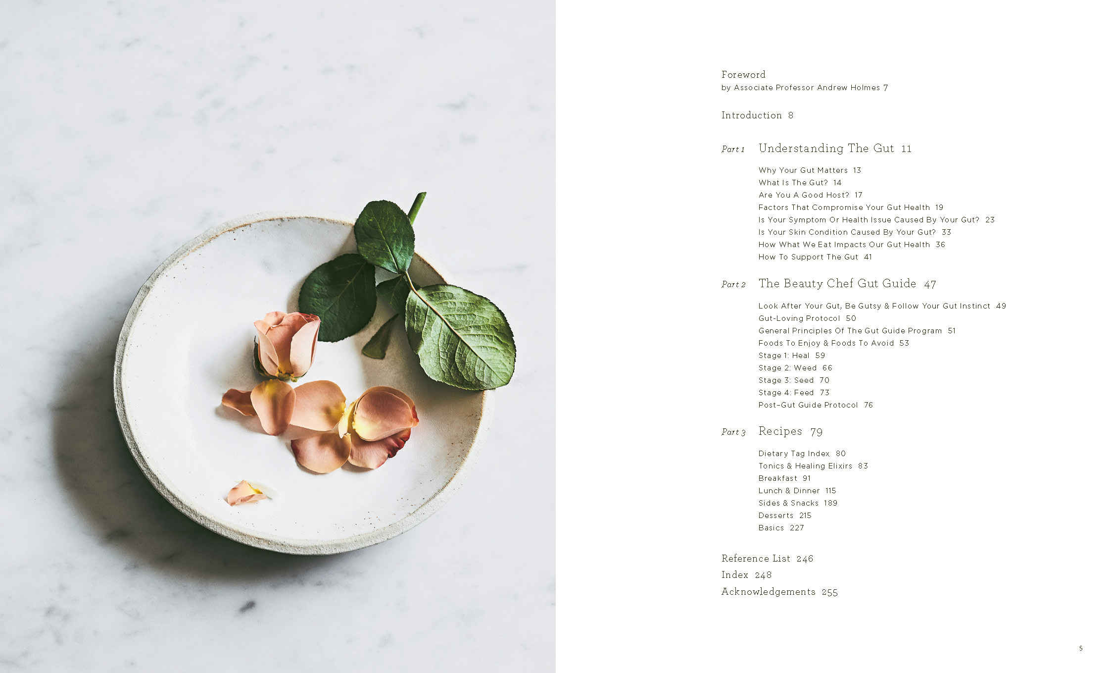 The Beauty Chef Gut Guide by Carla Oates | Hardie Grant Publishing