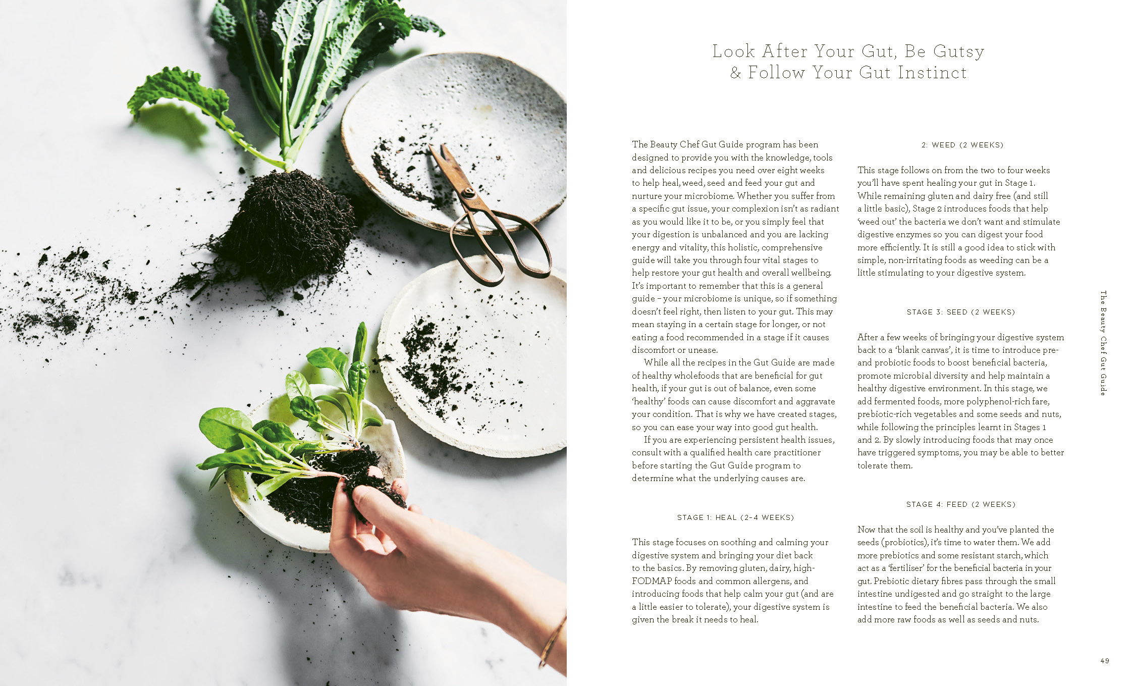 The Beauty Chef Gut Guide by Carla Oates | Hardie Grant Publishing