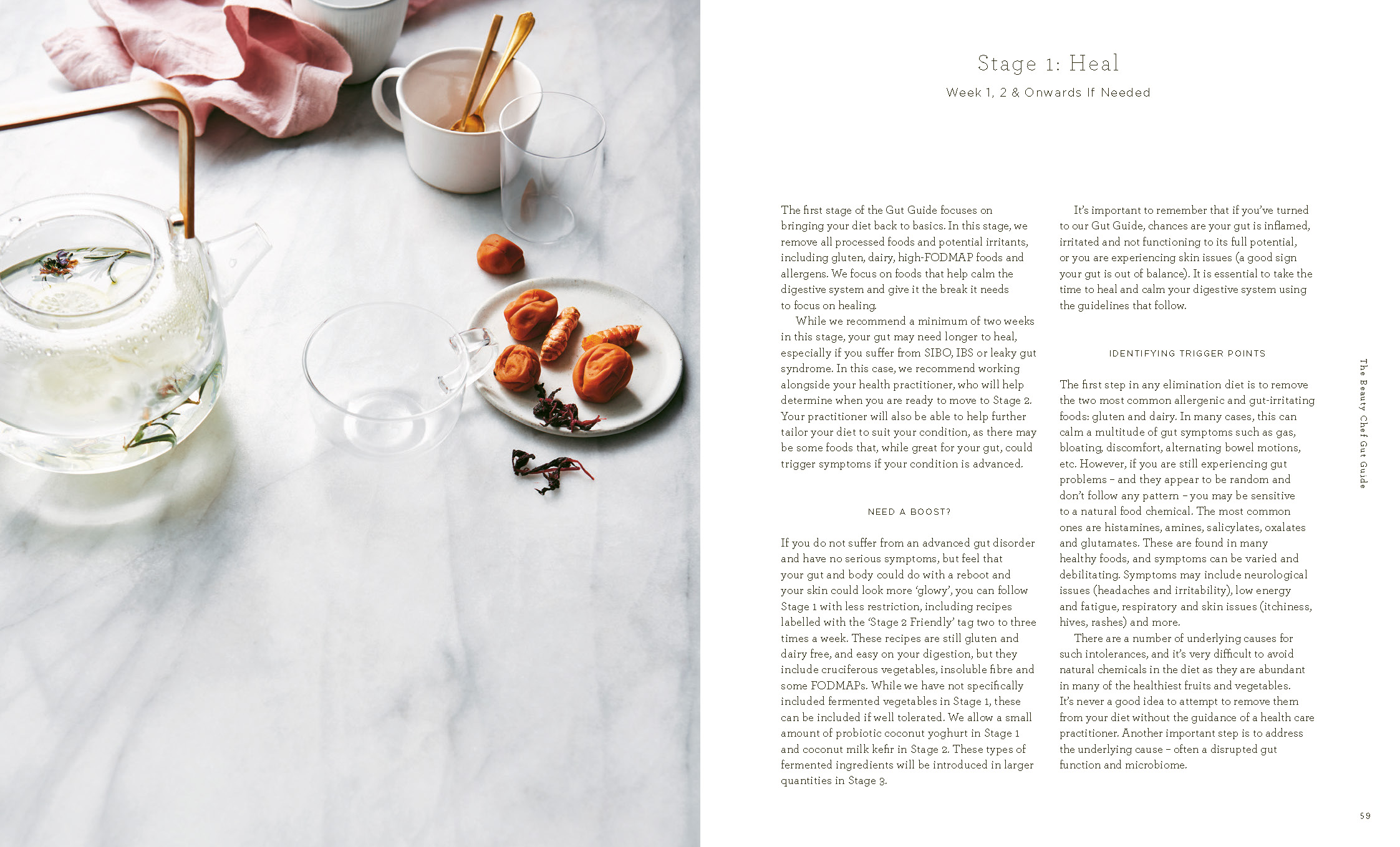 The Beauty Chef Gut Guide by Carla Oates | Hardie Grant Publishing