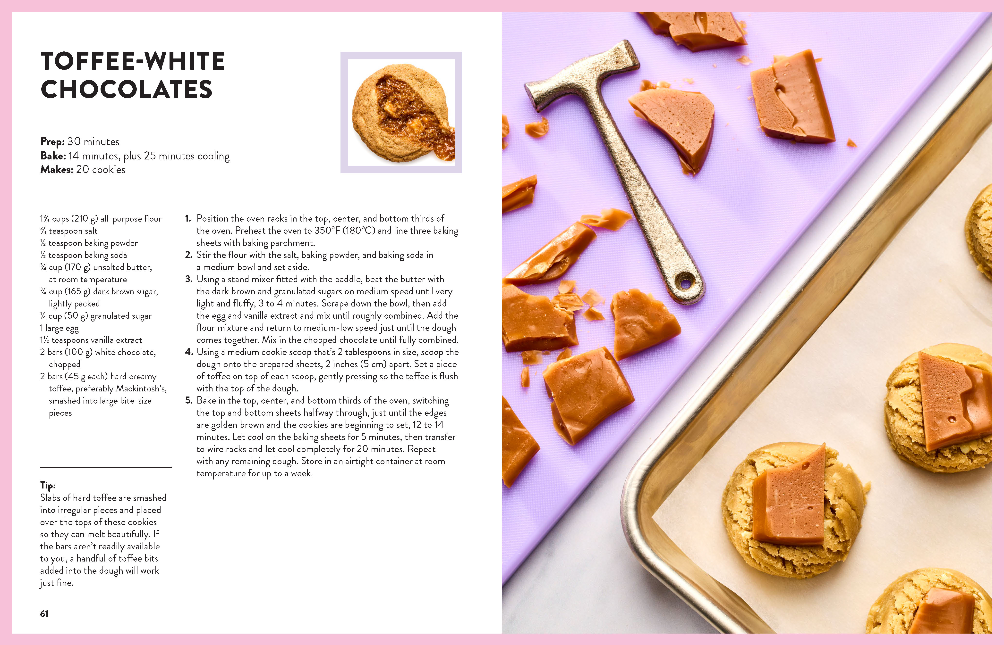 Cookie Box by Michelle Lucas Larving | Hardie Grant Publishing