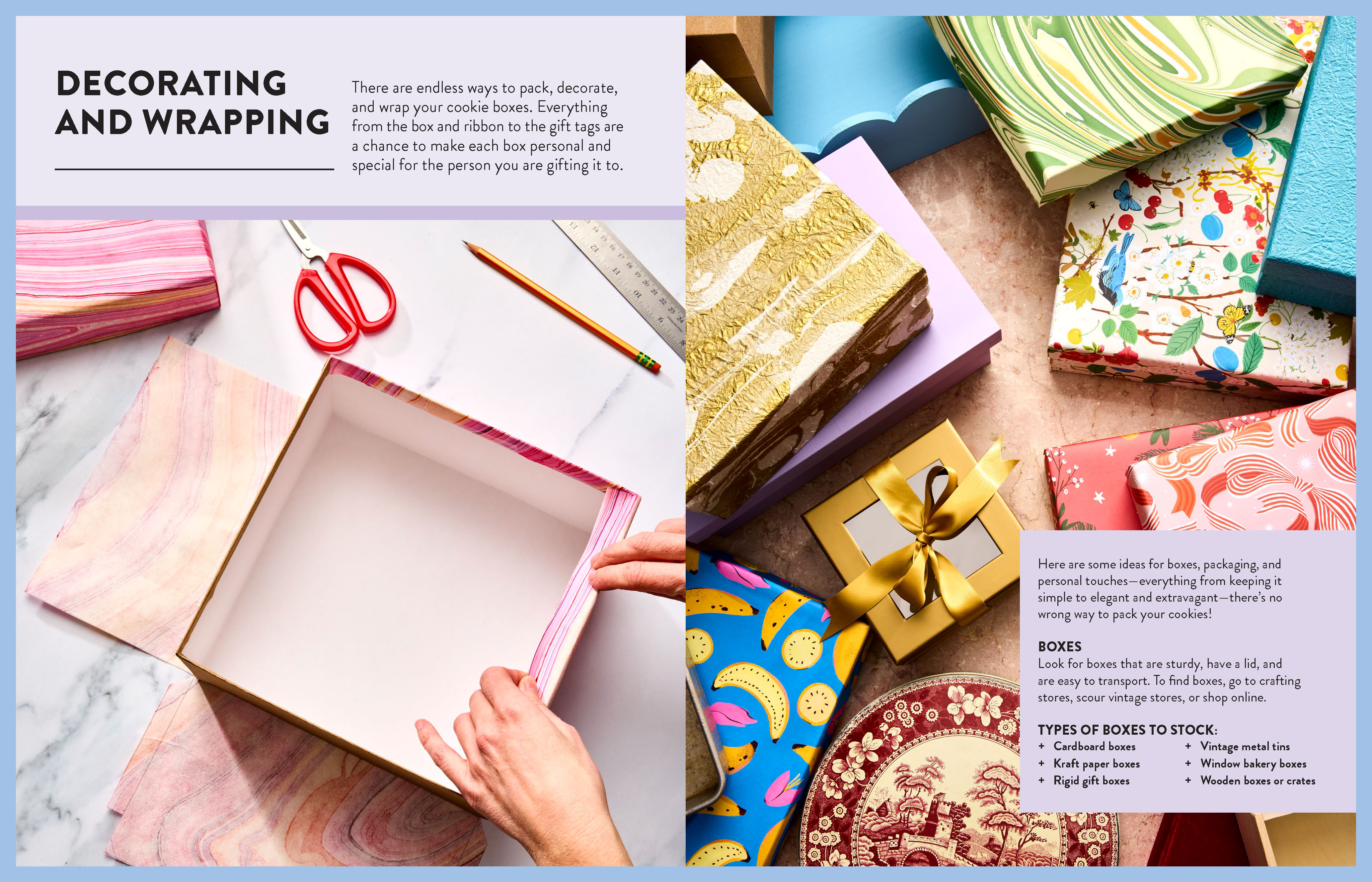 Cookie Box by Michelle Lucas Larving | Hardie Grant Publishing